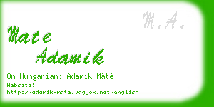 mate adamik business card